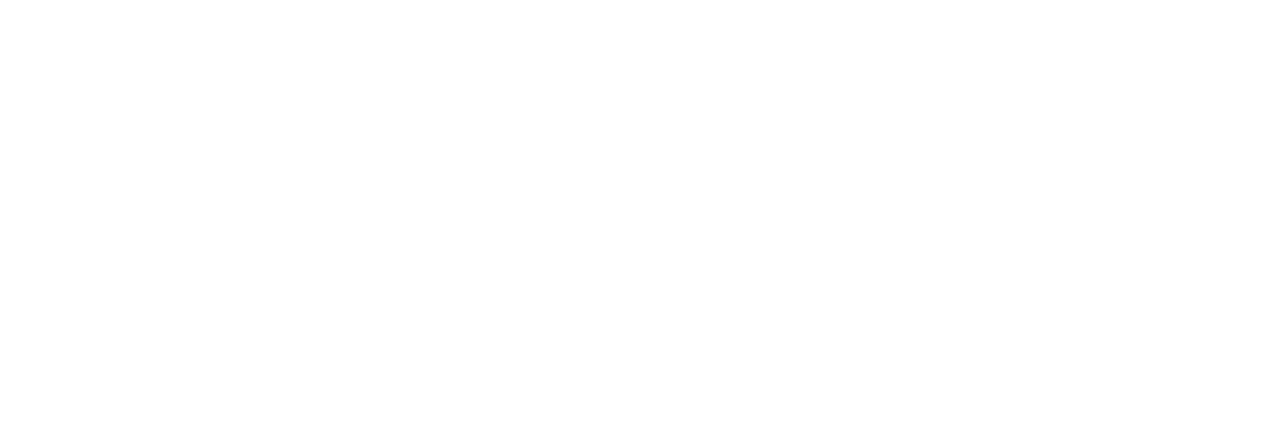 CSN Strategic Consulting